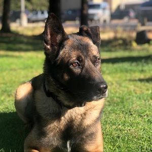 Meet your Posher, Christopher